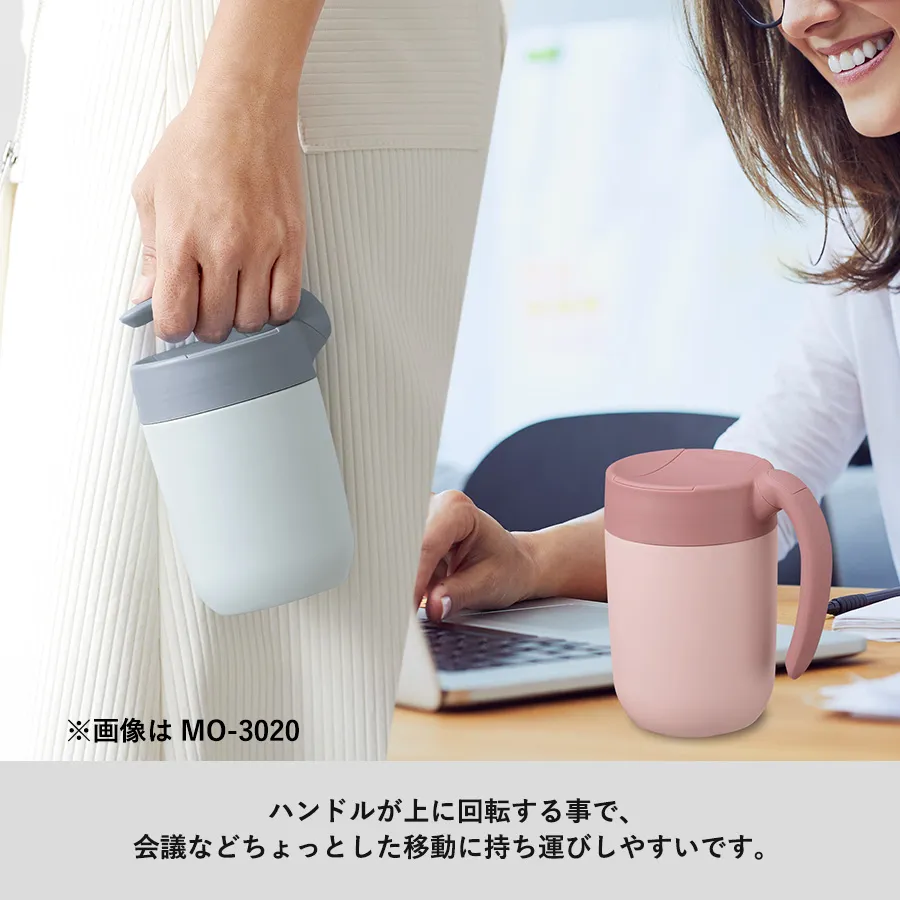 MO-3019-06-01