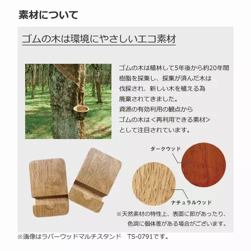 ゴムの木素材説明